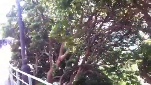 Amore mio 💞 Nervi 🎨 смотреть онлайн