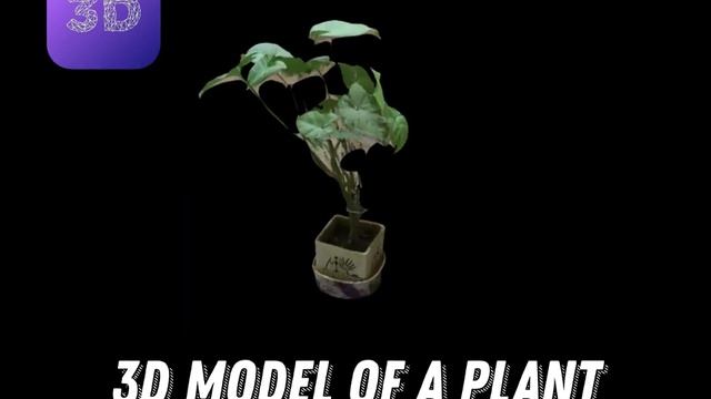 3D model of a Plant using 3D scanner pro app смотреть онлайн