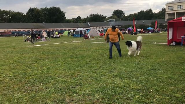 MAX DAR MARSHAL смотреть онлайн