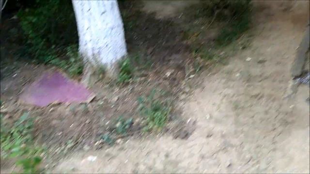 Поиск монет без металлоискателя 87 смотреть онлайн