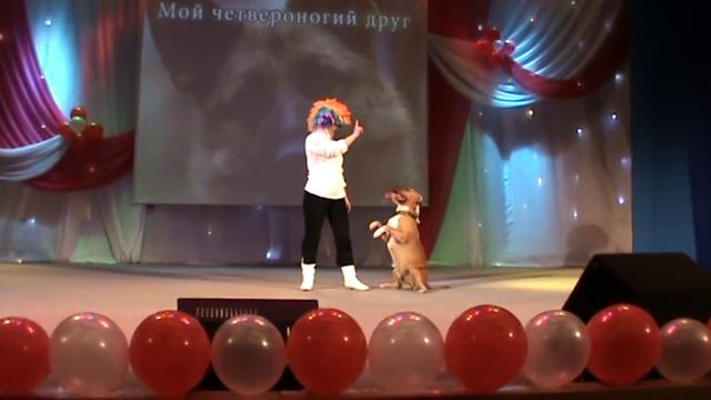 АСТ БЭСТ ЭЛЛИ'С Я САМЫЙ ХОРОШИЙ. "ЯША" Первый раз на сцене)))) смотреть онлайн