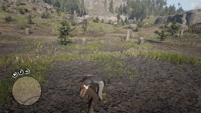 Red Dead Redemption 2 - Lady slipper orchid смотреть онлайн