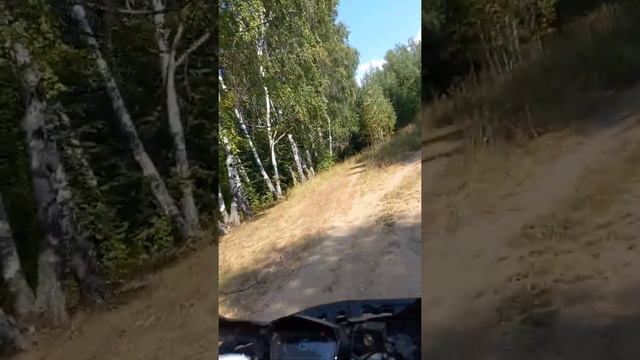 вдвоем по лесу на квадроцикле motoland wild 200 смотреть онлайн