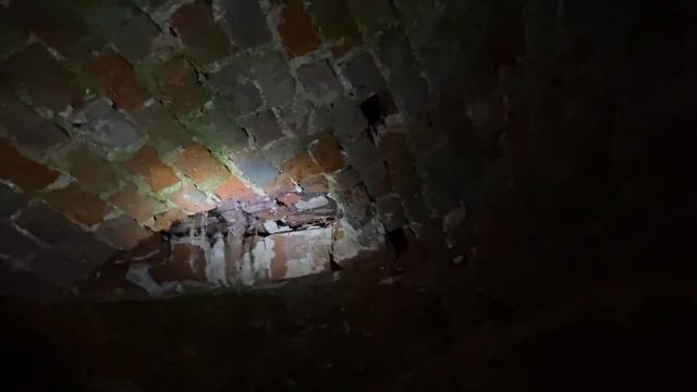 Заброшенная усадьба Борисовское (Ярославовых-Кладищевых). Памятник архитектуры елизаветинской эпохи смотреть онлайн
