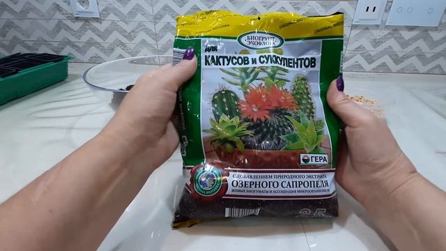 Адениум (Adenium Obesum). Посадка семян.