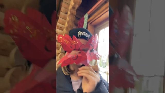 День в Сочи парке??? смотреть онлайн