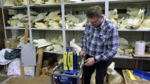 Станок мездрильный дисковый UD-3 INOX