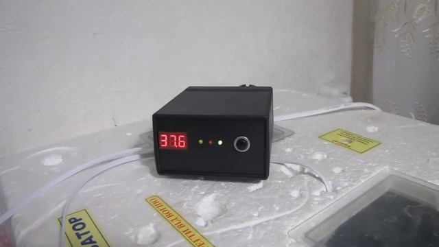 Терморегулятор для инкубатора обзор смотреть онлайн