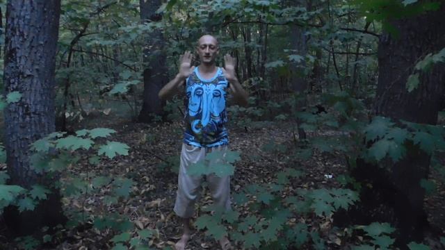 Практика получения энергии от деревьев! Смотри и запоминай! смотреть онлайн