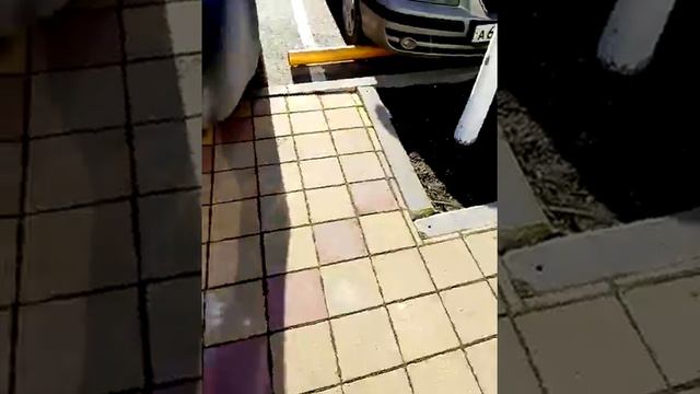 Вот ето вундеркинд смотреть онлайн