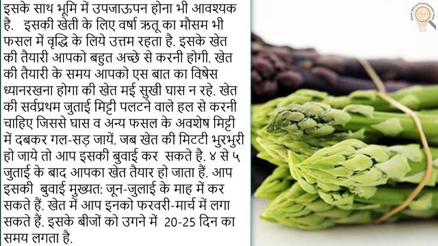 Shatavari (Asparagus) Ki Kheti Kaise Kare ? смотреть онлайн