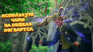 ПЕРВЫЕ УРОКИ И ОСВОЕНИЕ НОВОЙ МАГИИ Hogwarts Legacy