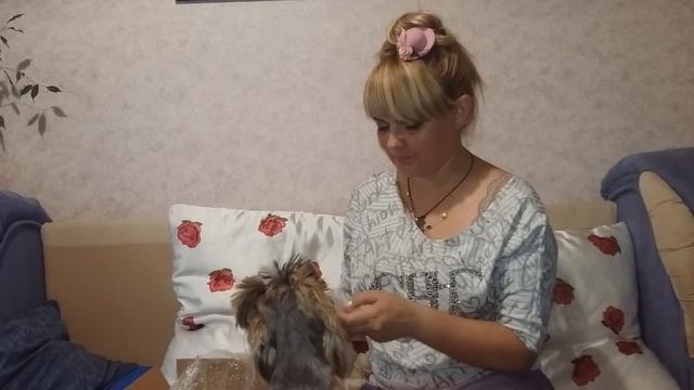 Распаковка двух посылок с Израиля! смотреть онлайн