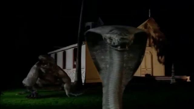 Комодо Vs Кобра | Битва гигантов | Komodo VS Snake | MEGA SNAKE