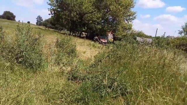За рулем мотоблока В 13ЛЕТ смотреть онлайн