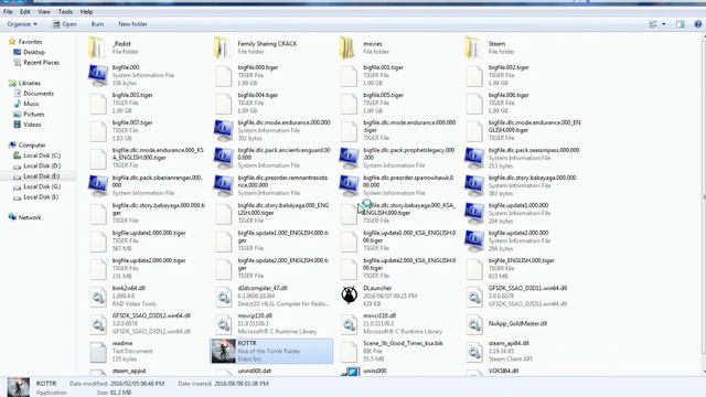 Rise Of Tomb Raider How To Fix Voksi Crack Blank Screen