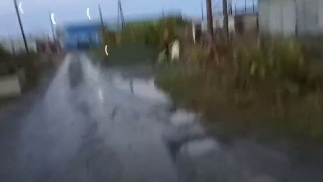 Собираем яблоки с чужого участка. смотреть онлайн