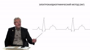 Евсеев А.В. Нормальная физиология. Лекция №16. Электрокардиографический метод исследования. 2023
