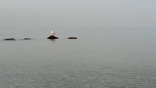 ГРЕЦИЯ МОЙ ВЫХОДНОЙ ПОЕХАЛИ НА МОРЕ VLOG смотреть онлайн