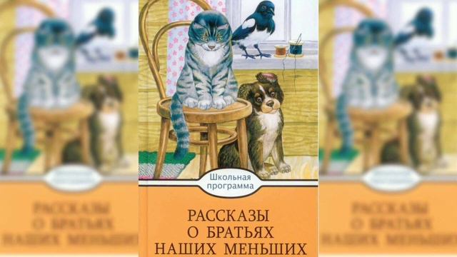 подпишись пожалуйста девочка сказала поросёночек скажи хрю хрю подпишись😂 смотреть онлайн
