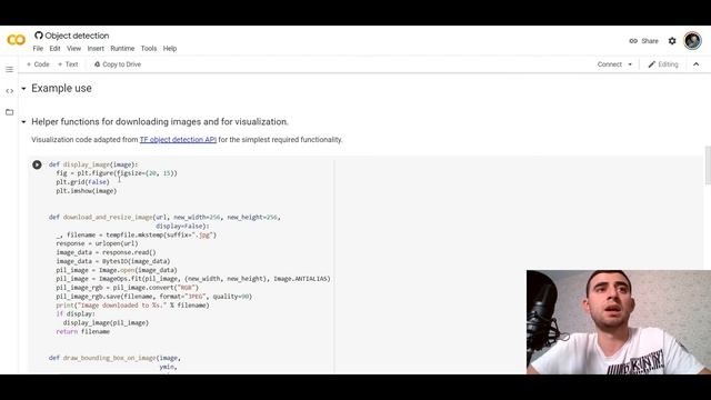 Object detection using TensorFlow HUB in 5 minutes смотреть онлайн