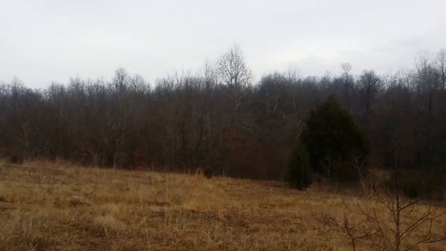 It don't take much for a so-called friend to turn on you so choose wisely смотреть онлайн