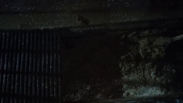 Проверка системы навозоудаления//Люська переехала//Ремонт дома Эльзы// смотреть онлайн