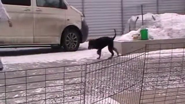 MOV004 смотреть онлайн