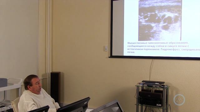 Ультразвуковые исследования в уронефрологии