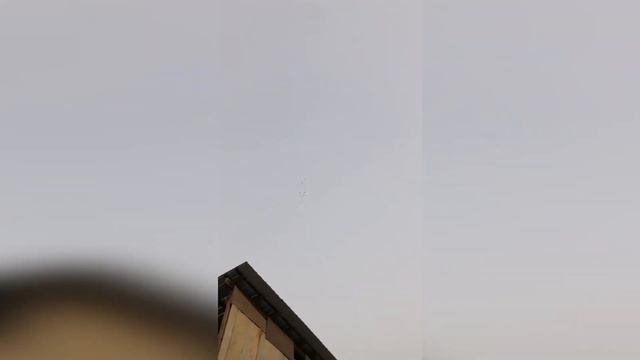 Голуби , Голуби бойные игровые ! Таджикские Голуби Душанбе , игры , тяги 11.06.23 смотреть онлайн