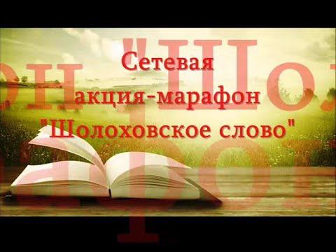 ШОЛОХОВ. СЕТЕВАЯ АКЦИЯ - МАРАФОН смотреть онлайн