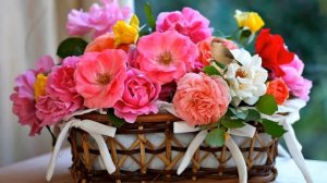 Красивое поздравление Женщин с праздником Весны   8 Марта