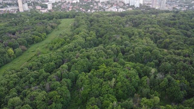 Лысая гора. "Svitlo Park" смотреть онлайн