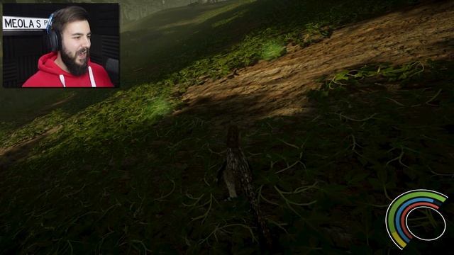 THE T-REX APPEARS! - Saurian Gameplay (NEW DINOSAUR GAME)
