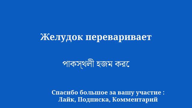 Легко выучить бенгальский язык. Доступно даже новичкам. смотреть онлайн