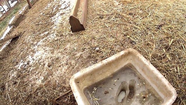 😜 Vlog: Кто меня разбудил? Замело... Как там кролики. 😎 смотреть онлайн