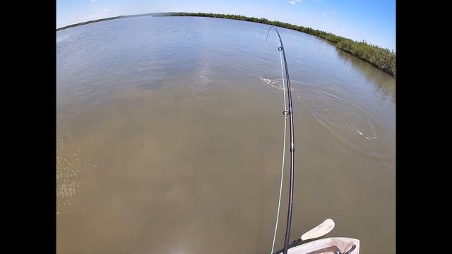 Sight Fishing Redfish With A Fly Rod - The Perfect Delivery смотреть онлайн