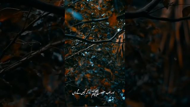 Gunahgar mahshar main Faryad karain gy || Molana Tariq Jameel Biyan || #molanatariqjameel #islam смотреть онлайн