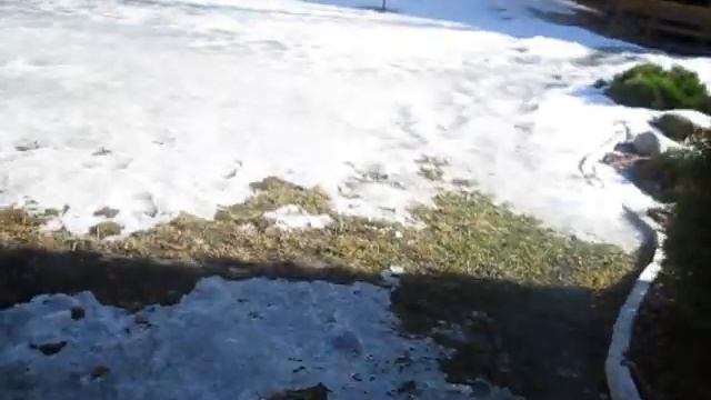 Открываем дачный сезон смотреть онлайн