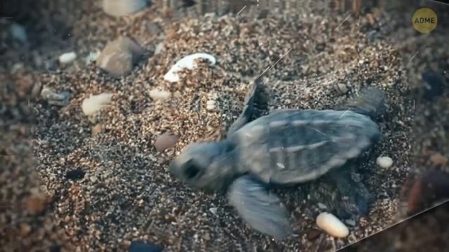 Что, если бы в Луну врезался большой метеорит? смотреть онлайн