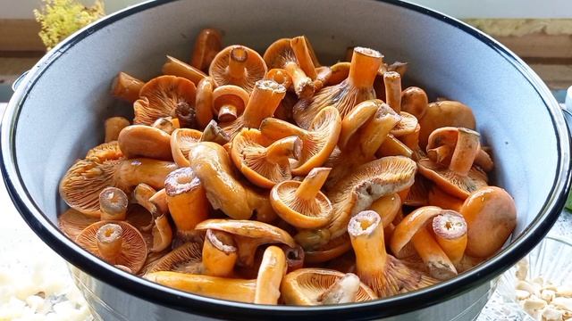 Мастерство Рукоделия