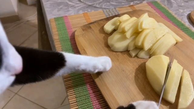 Кот готовит борщ!!! Cat’s Life!!!??♀️??? смотреть онлайн