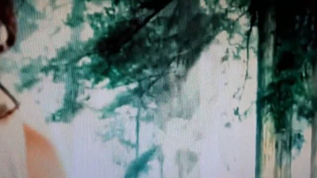 "Счастье с неба не падает..." - стихи в авторском исполнении смотреть онлайн