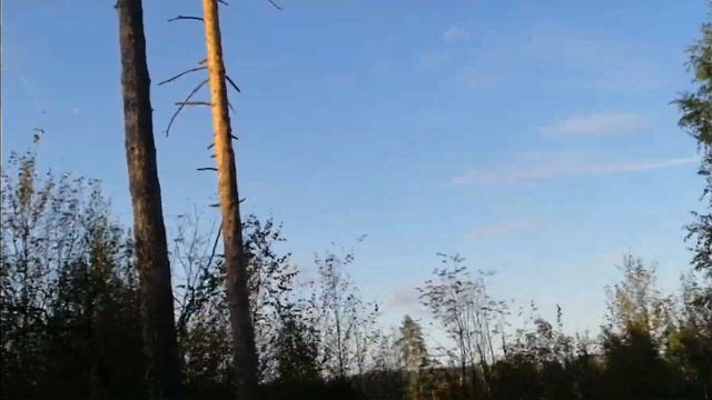 Желдор - Полтево - Угли- Рыбхоз - Желдор смотреть онлайн