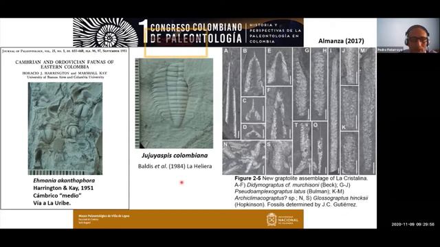Recuento histórico de la paleontología en Colombia смотреть онлайн