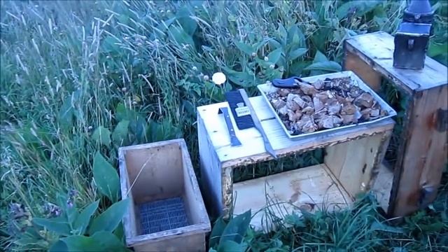 Какой мед можно откачать 1