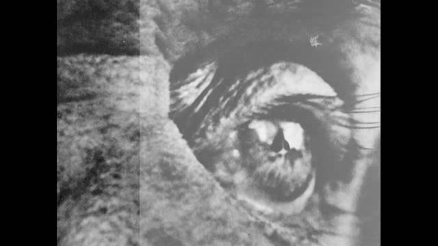 Truth Club - Sleight смотреть онлайн