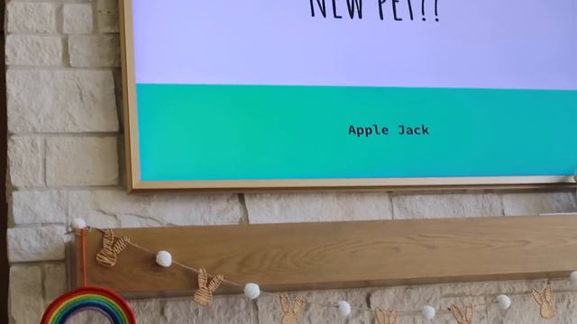 OUR 11-YEAR-OLD SON'S PRESENTATION WE JUST COULDN'T SAY NO TO | INTRODUCING OUR NEW FAMILY PET! смотреть онлайн