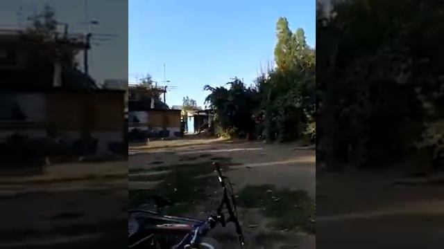 El taro смотреть онлайн
