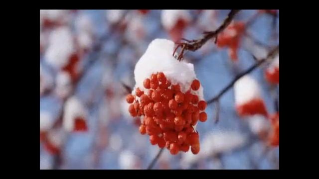 Кто не спит в лесу зимой. смотреть онлайн